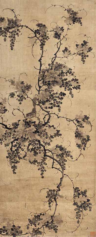 Grapevine and Squirrels