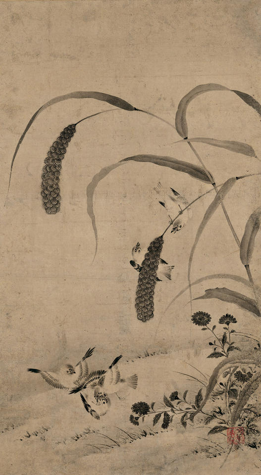 Sparrows among Millet and Asters