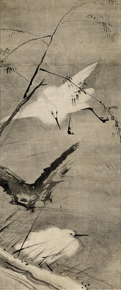 Herons