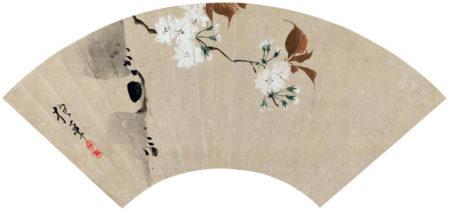 Cherry Blossoms