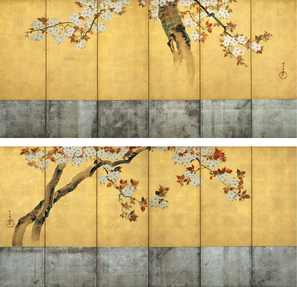 Blossoming Cherry Trees
