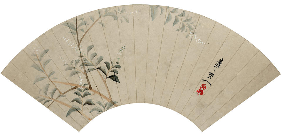Bush Clover