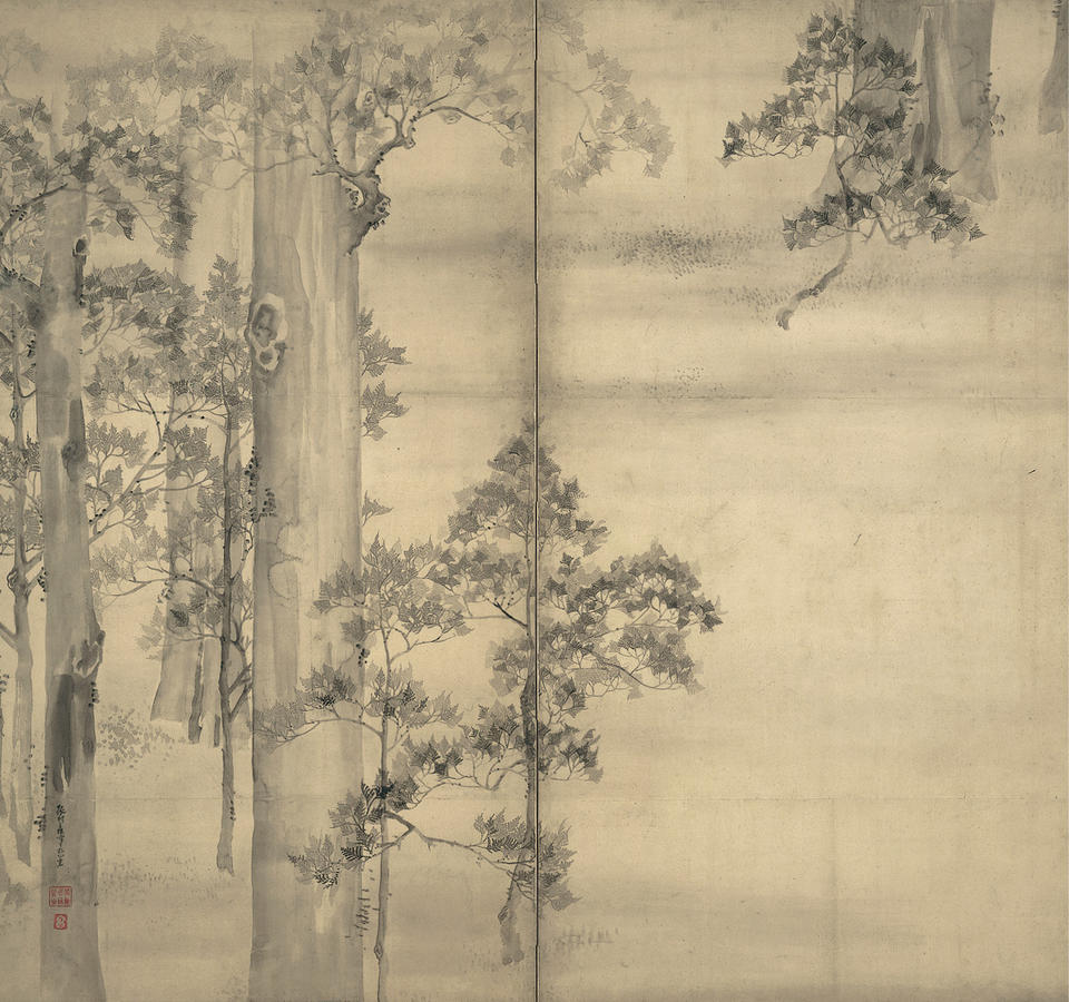 Cypress Trees