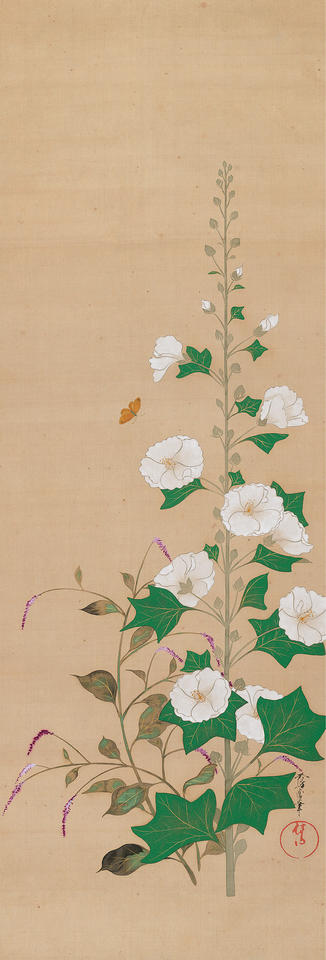 Hollyhocks