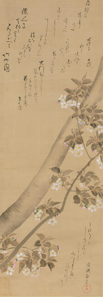 Cherry Blossoms with Poems