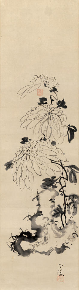 Chrysanthemums