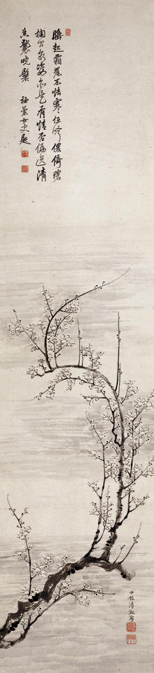 Plum Tree