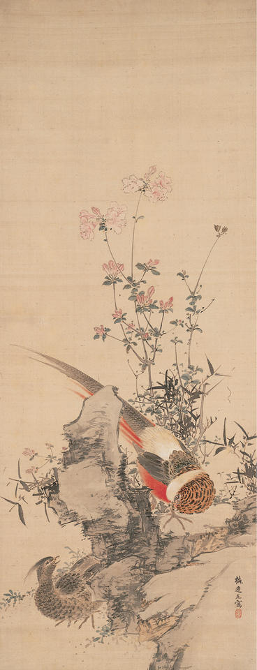 Golden Pheasants among Rhododendrons