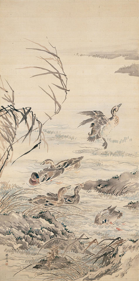 Geese in Autumn Stream