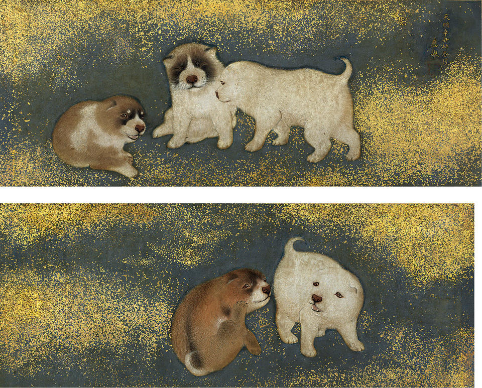 Puppies