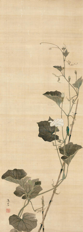 Calabash Flowers and Beetle