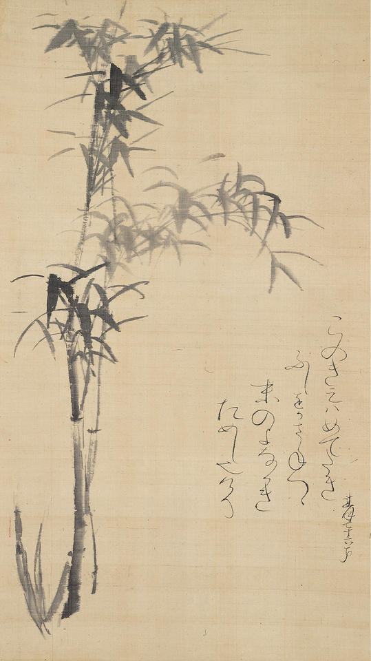 Bamboo