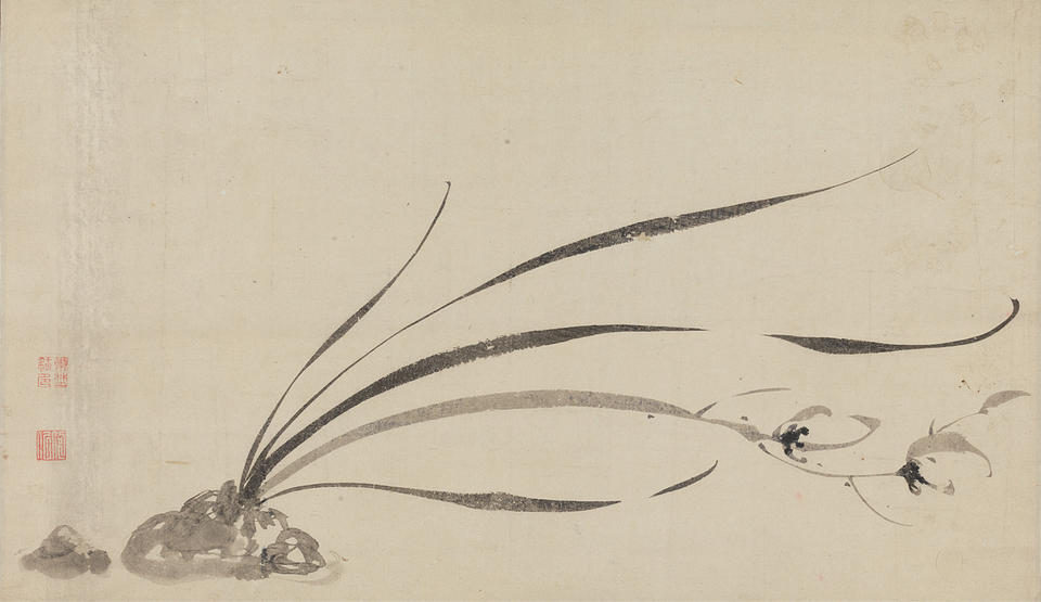 Orchid