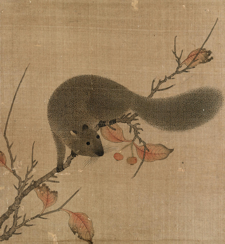 Squirrel on a Branch